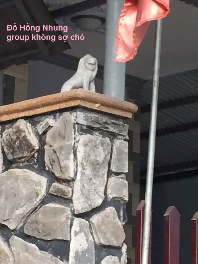 Dòng chữ nắn nót trên mũ bảo hiểm: Tôi bị nấm đầu, vì sức khỏe của bạn, xin đừng lấy - Ảnh 9.