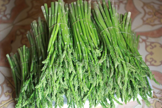 Chiêm ngưỡng vườn măng tây cho thu nhập gần 2 tỷ/năm - Ảnh 8. Chiêm ngưỡng vườn măng tây cho thu nhập gần 2 tỷ/năm - Ảnh 8.