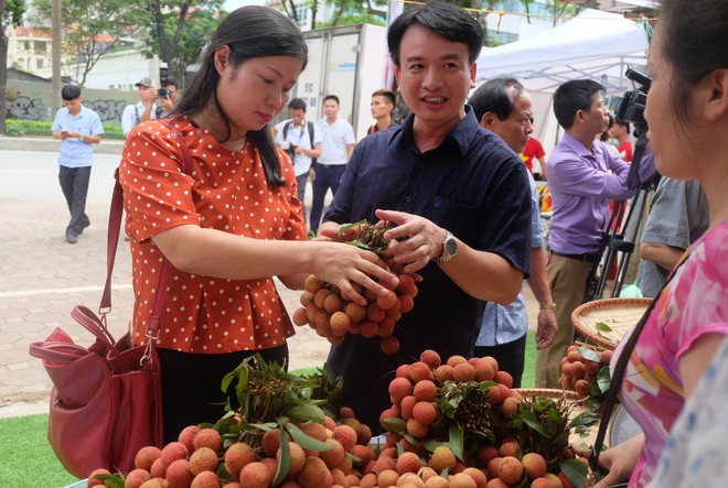 Hà Nội: 5 tấn vải Thanh Hà giá rẻ hết veo trong vòng một nốt nhạc  - Ảnh 6.