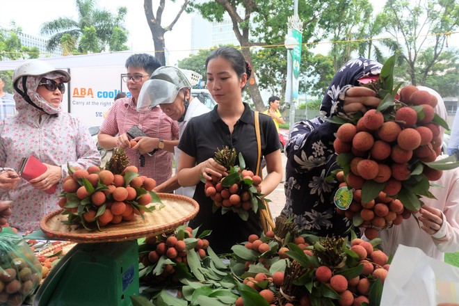 Hà Nội: 5 tấn vải Thanh Hà giá rẻ hết veo trong vòng một nốt nhạc  - Ảnh 1.