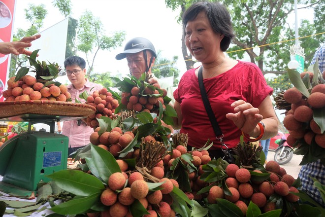 Hà Nội: 5 tấn vải Thanh Hà giá rẻ hết veo trong vòng một nốt nhạc  - Ảnh 4.