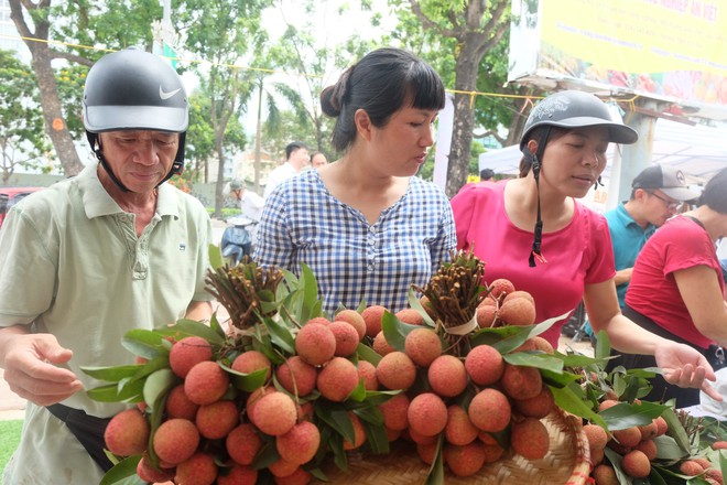 Hà Nội: 5 tấn vải Thanh Hà giá rẻ hết veo trong vòng một nốt nhạc  - Ảnh 3.