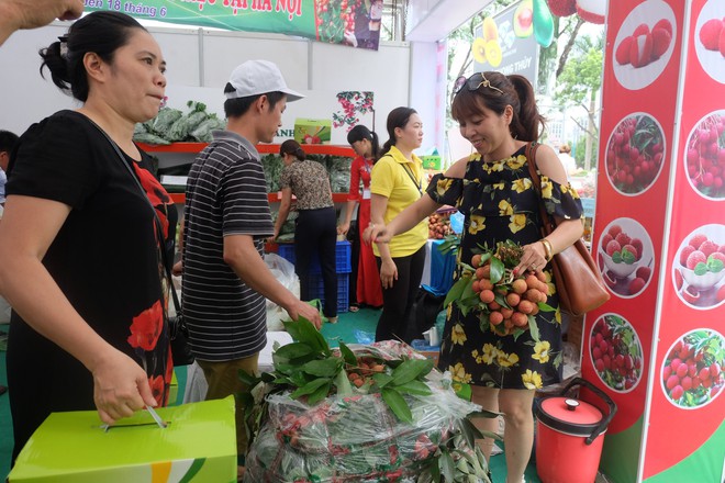 Hà Nội: 5 tấn vải Thanh Hà giá rẻ hết veo trong vòng một nốt nhạc  - Ảnh 5.