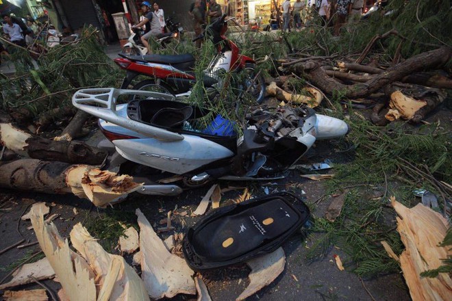 Cây cổ thụ bật gốc đè xe máy trên phố Hà Nội, 5 người bị thương - Ảnh 4.