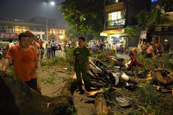 Cây cổ thụ bật gốc đè xe máy trên phố Hà Nội, 5 người bị thương - Ảnh 7.
