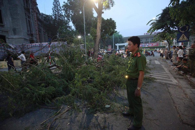 Cây cổ thụ bật gốc đè xe máy trên phố Hà Nội, 5 người bị thương - Ảnh 8.