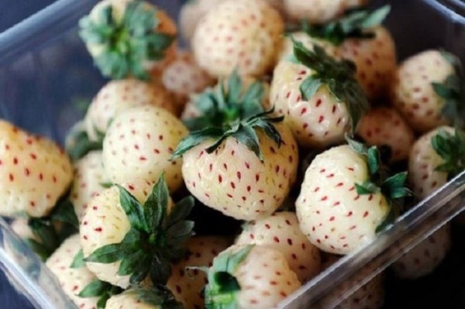 Những trái cây lạ xuất hiện trên thị trường Việt - Ảnh 6.