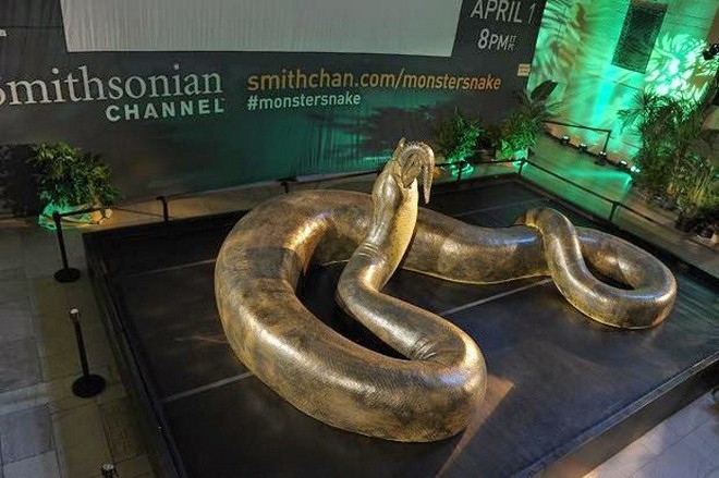 Quái vật nặng 1 tấn Titanoboa: Sau 18 năm giới khoa học mới có thể giải mã nó - Ảnh 3.