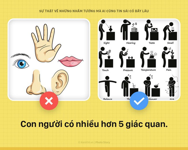 6 điều hàng ngày bạn đang tin sái cổ hóa ra đều là... hư cấu - Ảnh 3.