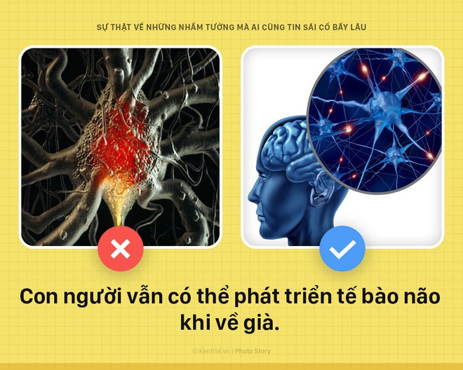 6 điều hàng ngày bạn đang tin sái cổ hóa ra đều là... hư cấu - Ảnh 7.