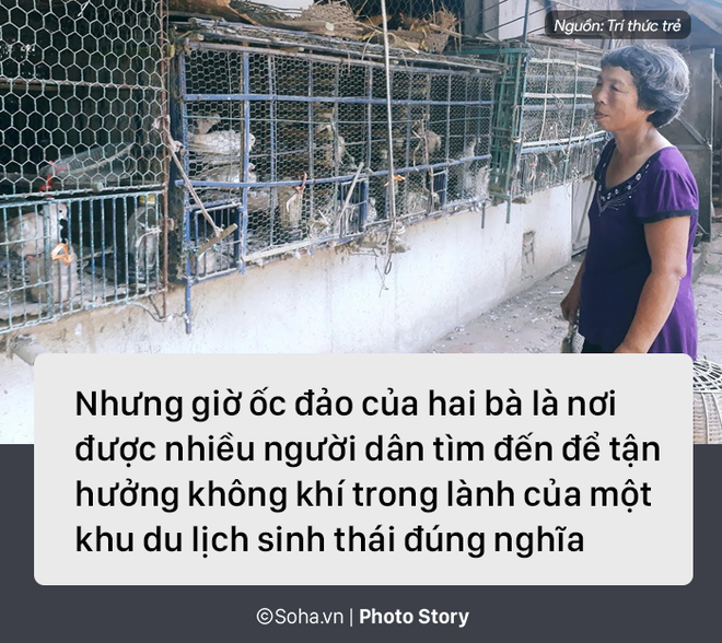 [Photo Story] Từ cô gái đẹp xứ Thanh thành dị nhân 15 năm sống ở ốc đảo sát Hà Nội - Ảnh 7.