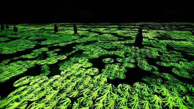 Ghé thăm bảo tàng kỹ thuật số độc đáo ở Nhật Bản: Một thế giới mới ảo diệu đến choáng ngợp, chẳng khác gì khung cảnh trong phim Avatar - Ảnh 8.