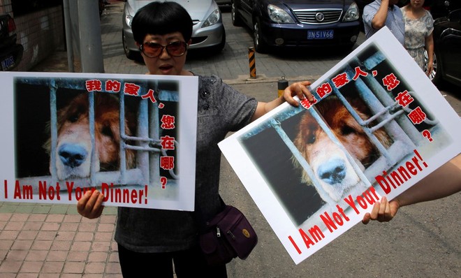 Lễ hội thịt chó vẫn diễn ra ở Trung Quốc bất chấp chỉ trích - Ảnh 3.