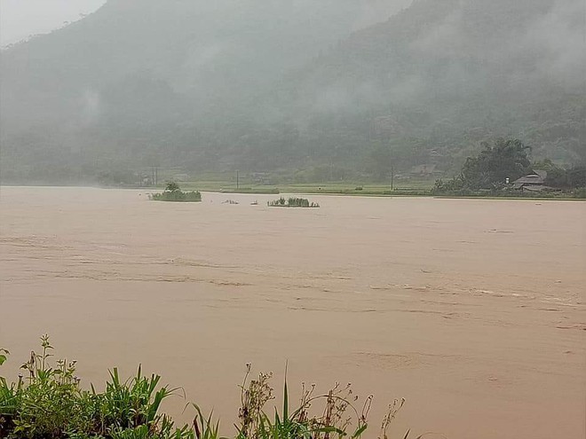 Mưa lũ ở miền núi phía Bắc: 5 người chết, người dân lặn sâu hàng mét để vớt lúa - Ảnh 4.