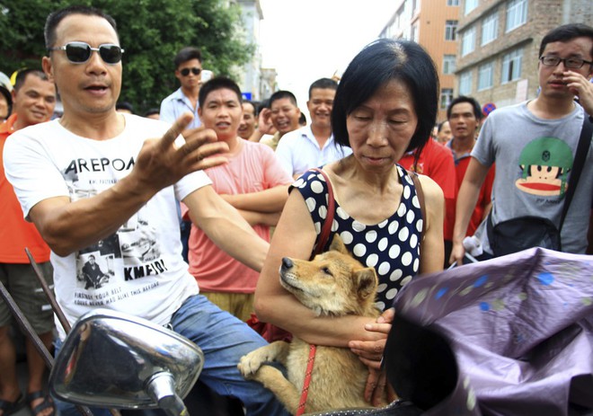 Lễ hội thịt chó vẫn diễn ra ở Trung Quốc bất chấp chỉ trích - Ảnh 4.