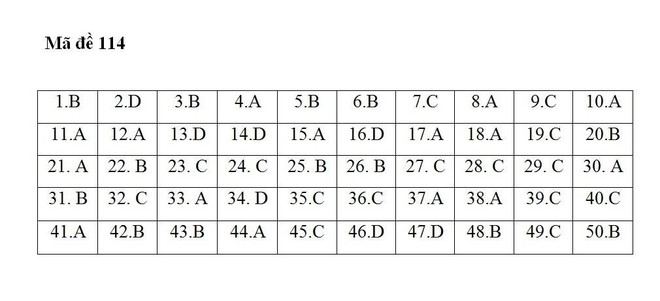 Gợi ý đáp án 24 mã đề thi môn Toán kỳ thi THPT Quốc gia 2018 - Ảnh 8.