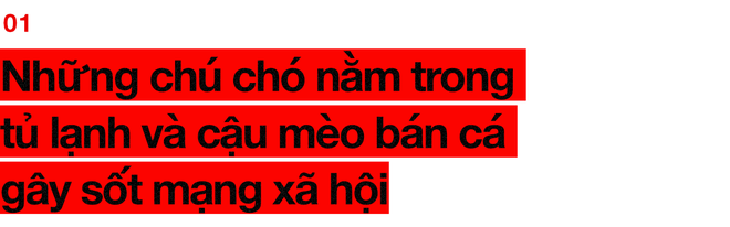 Chuyện ở những đất nước mà chó mèo có hai số phận: Được cưng chiều hết mực, hoặc oặt mình trong lồng cũi tới bàn tiệc - Ảnh 2.