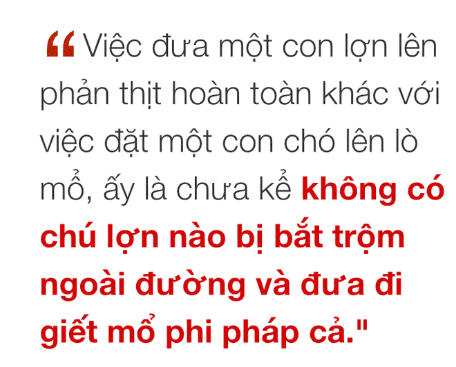 Chuyện ở những đất nước mà chó mèo có hai số phận: Được cưng chiều hết mực, hoặc oặt mình trong lồng cũi tới bàn tiệc - Ảnh 13.