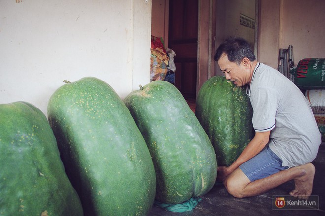 Cận cảnh khu vườn với những quả bí đao khổng lồ nằm võng tự chế, phải 2 người vác mới nổi - Ảnh 11.