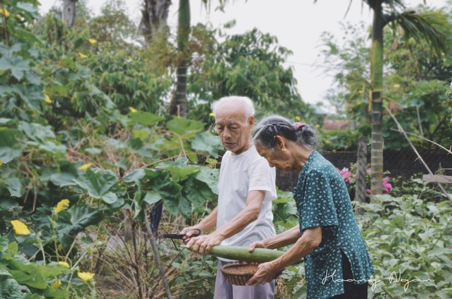 Bộ ảnh ông chải tóc, đọc thơ cho bà được chia sẻ nhiều nhất trong vòng 24 giờ và những tiết lộ phía sau  - Ảnh 6.