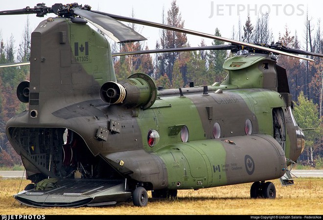 Sức mạnh trực thăng “quái vật trên không” CH-47 Chinook - Ảnh 9.