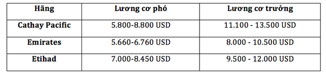 Lương phi công Việt Nam ở mức nào so với thế giới? - Ảnh 2.