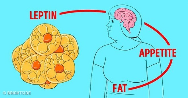 Ai cũng nghĩ đói là đói bụng, hóa ra lại có đến 8 kiểu đói khác mà chắc chắn là bạn đã từng thử qua - Ảnh 6.