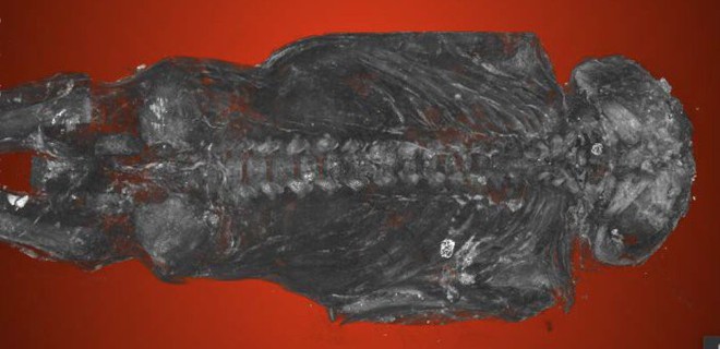 Chụp cắt lớp xác ướp chim ưng Ai Cập bỗng nhiên phát hiện bất ngờ lớn - Ảnh 1.