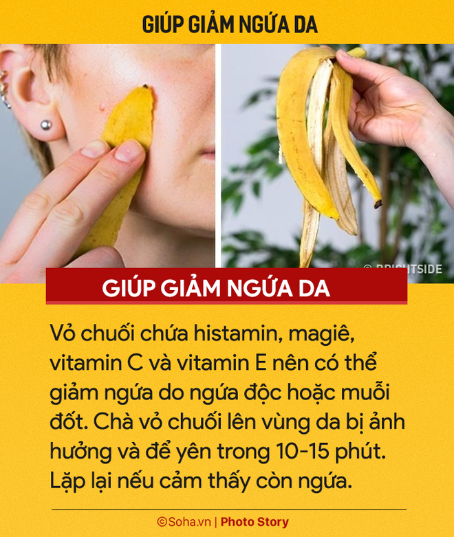 Ăn chuối hàng ngày nhưng ít người biết 7 công dụng từ vỏ chuối: Nhớ đừng vứt vào thùng rác - Ảnh 7.