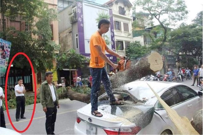 Vụ xe Lexus bị cây đè bẹp: Giám đốc Cty trông xe nói gì? - Ảnh 2.