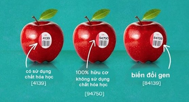 Đừng bao giờ mua trái cây có mã code bắt đầu bằng số 8? - Ảnh 5.