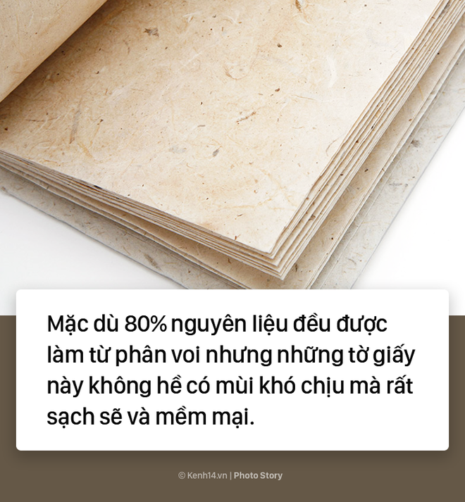 Không thể ngờ giấy viết ở Sri Lanka được làm từ thứ này - Ảnh 5.