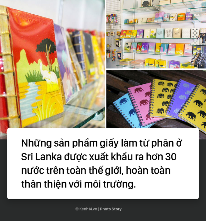 Không thể ngờ giấy viết ở Sri Lanka được làm từ thứ này - Ảnh 6.