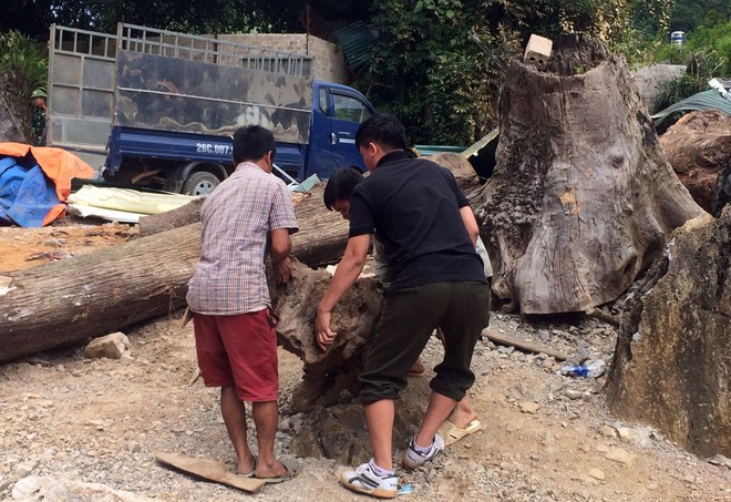 Sào huyệt của trùm ma túy ở Lóng Luông đã bị san phẳng - Ảnh 9.