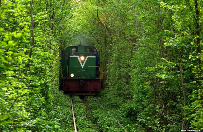 Ghé thăm “đường hầm tình yêu” đẹp ma mị ở Ukraine, nơi những cặp đôi một lần lạc bước sẽ chẳng muốn quay về - Ảnh 3.