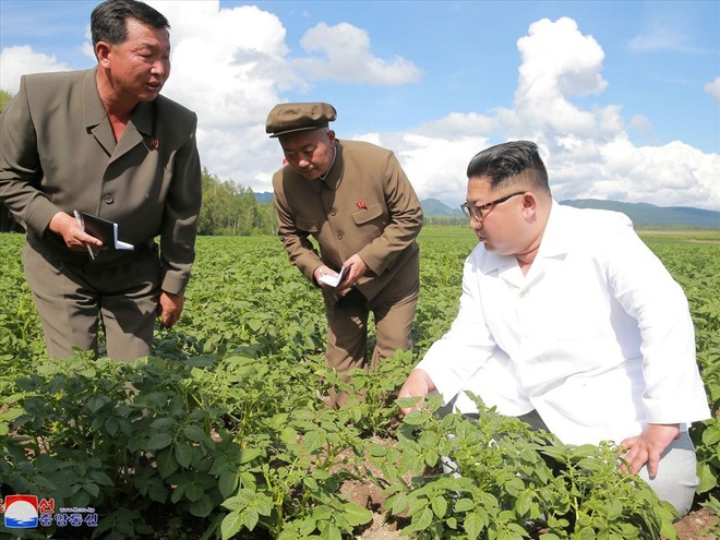 Lý do ông Kim Jong-un bận không tiếp Ngoại trưởng Mỹ thăm Triều Tiên lần 3 - Ảnh 1.