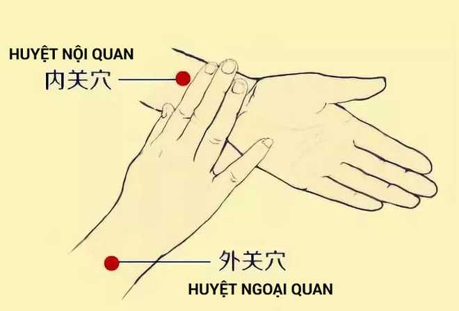 3 huyệt vị giúp phòng chữa bệnh gan nhiễm mỡ: Cách bấm đơn giản, hiệu quả lâu dài - Ảnh 1.