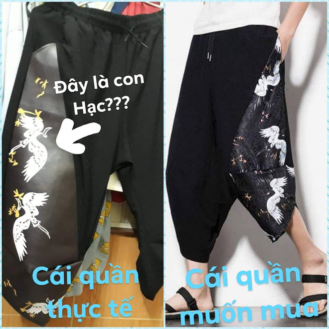 Đặt mua online quần in hình hạc trắng thanh tao, thanh niên nhận về chiếc quần in hình 1 đàn... bồ nông - Ảnh 2.