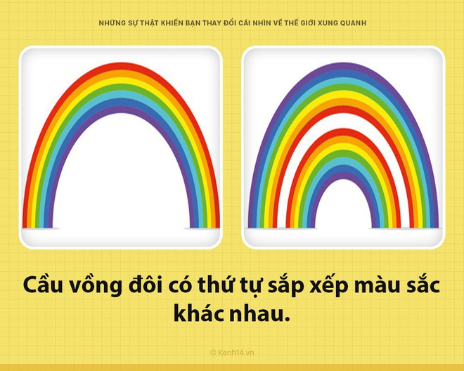 7 sự thật góp nhặt khiến ai cũng phải ồ à khi biết - Ảnh 2.