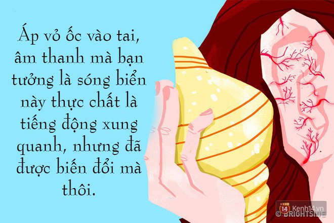 8 sự thật thú vị về cuộc sống khiến ai cũng ngỡ ngàng, số 6 biết rồi giơ tay làm thử luôn - Ảnh 9.