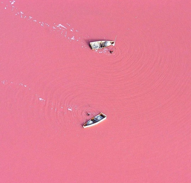 Hồ màu hồng lạ lùng giữa vùng đảo nước Úc: Điều gì tạo nên màu sắc thú vị này? - Ảnh 3.