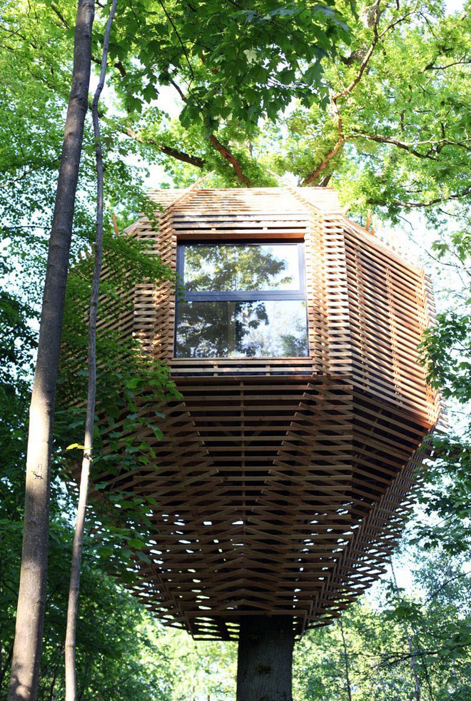Ngôi nhà trên cây nằm giữa rừng xanh có đầy đủ tiện nghi như khách sạn - Ảnh 1.