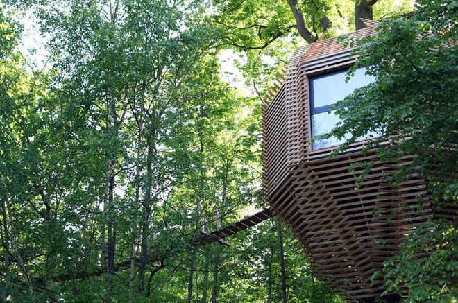 Ngôi nhà trên cây nằm giữa rừng xanh có đầy đủ tiện nghi như khách sạn - Ảnh 2.