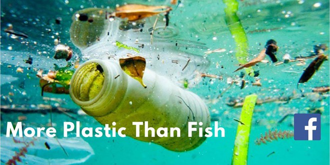 Nếu rác nhựa gây khủng hoảng như thế thì tại sao không cấm dùng đồ nhựa luôn? Câu trả lời không đơn giản như bạn nghĩ đâu - Ảnh 1.