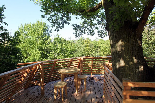 Ngôi nhà trên cây nằm giữa rừng xanh có đầy đủ tiện nghi như khách sạn - Ảnh 10.