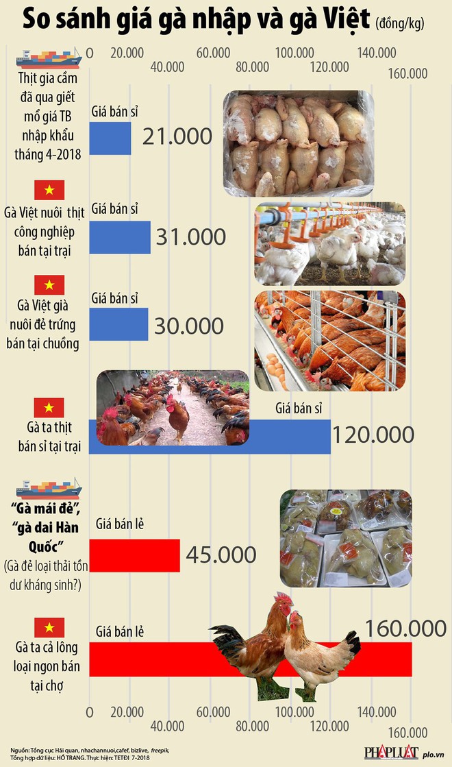 Giá gà không đầu, không chân nhập khẩu khác gà Việt ra sao? - Ảnh 1.