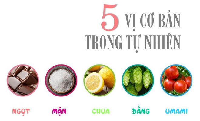 Umami- Câu chuyện về vị ngon trong ẩm thực - Ảnh 1.