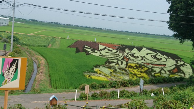 Nông dân Nhật biến ruộng lúa thành các hình vẽ truyện tranh để tưởng nhớ họa sĩ huyền thoại Osamu Tezuka - Ảnh 5.