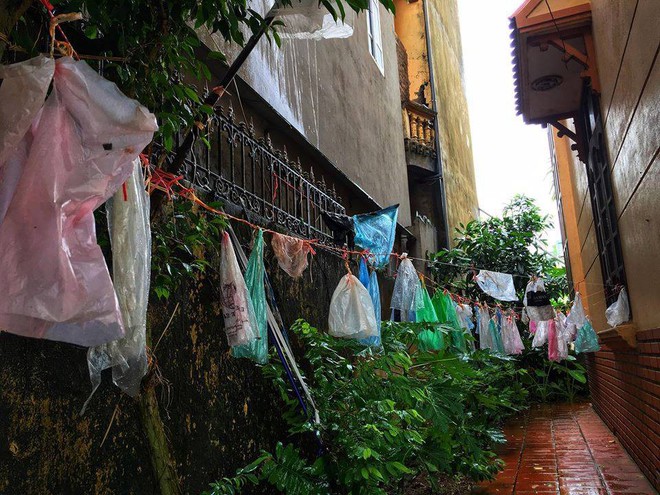 Vừa bước vào sân nhà bà nội, cô gái đã bị choáng trước trận địa bà bài trí - Ảnh 3.