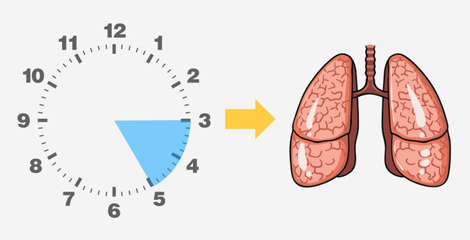 Đừng bỏ qua: Thời điểm bạn thức dậy mỗi đêm tiết lộ bạn đang gặp rắc rối ở bộ phận nào trong cơ thể - Ảnh 5.